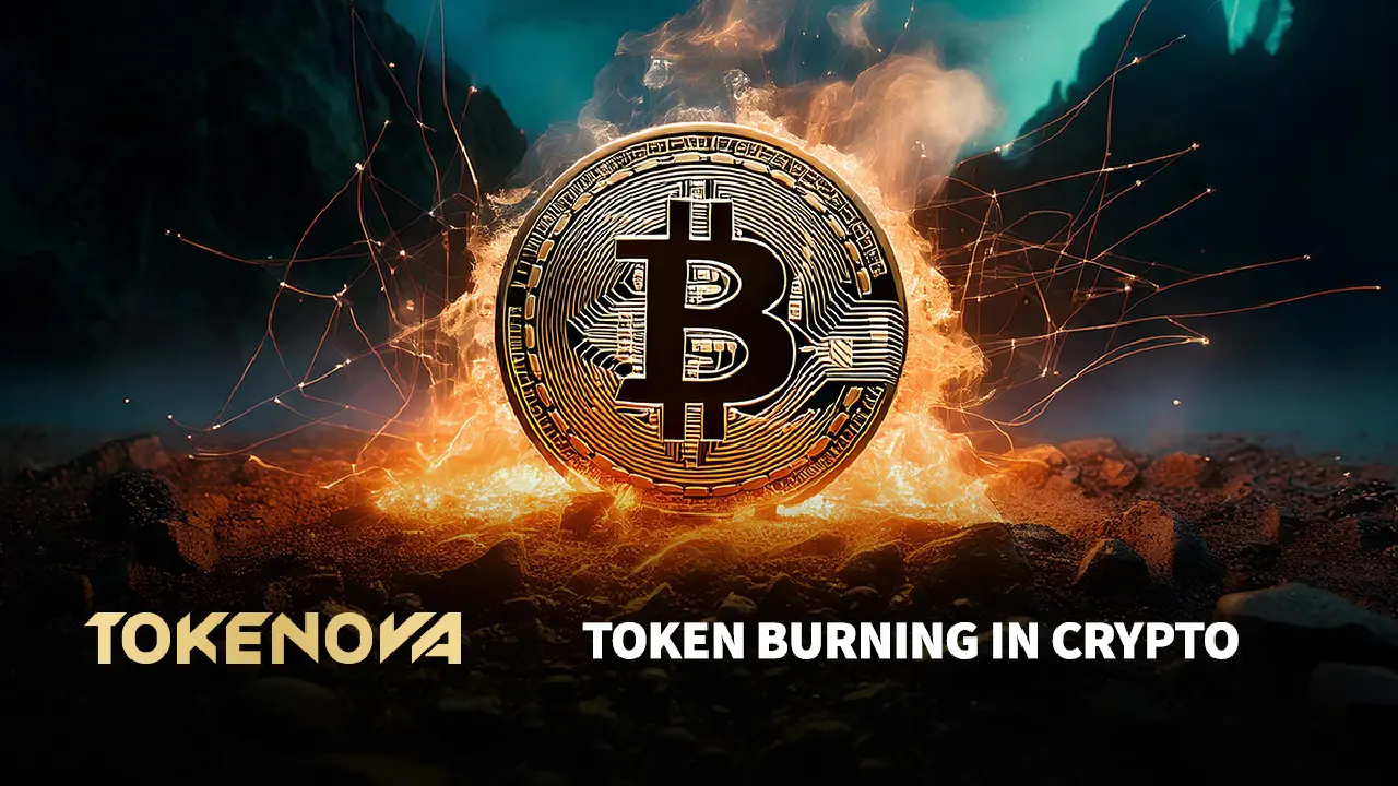 Token Burning