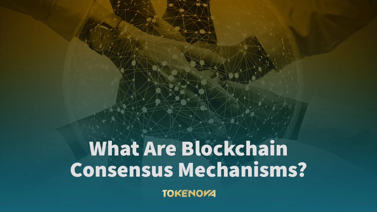 Blockchain consensus mechanisms