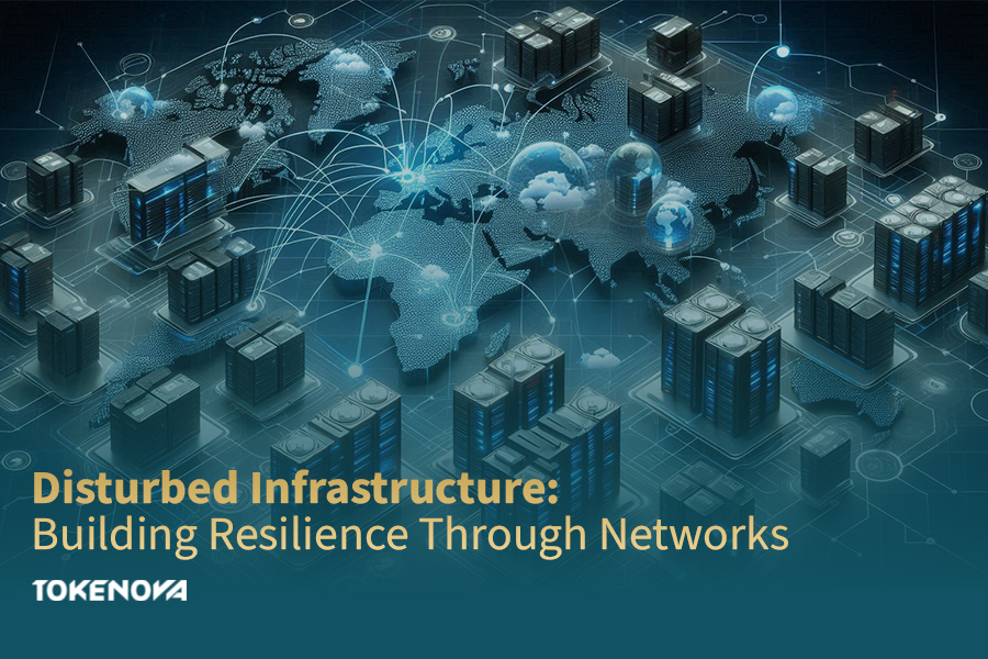 Disturbed Infrastructure: Building Resilience Through Networks