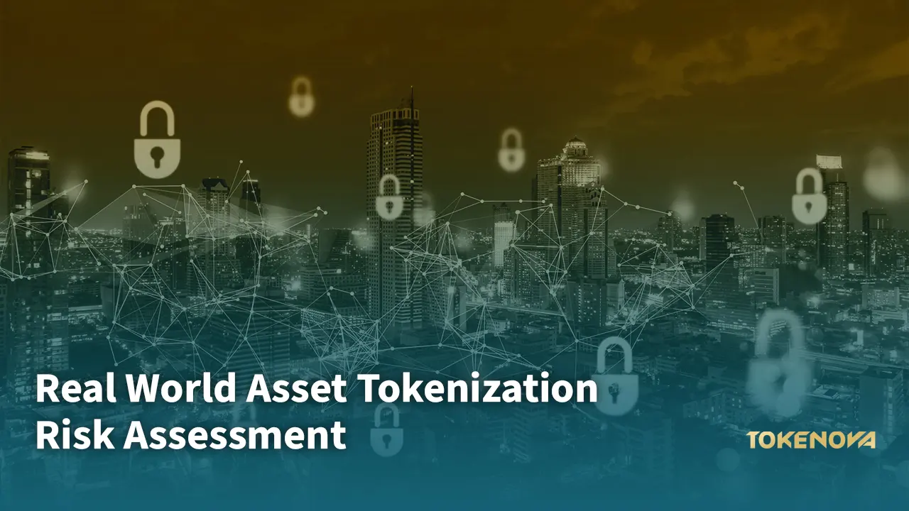Real World Asset Tokenization Risk Assessment