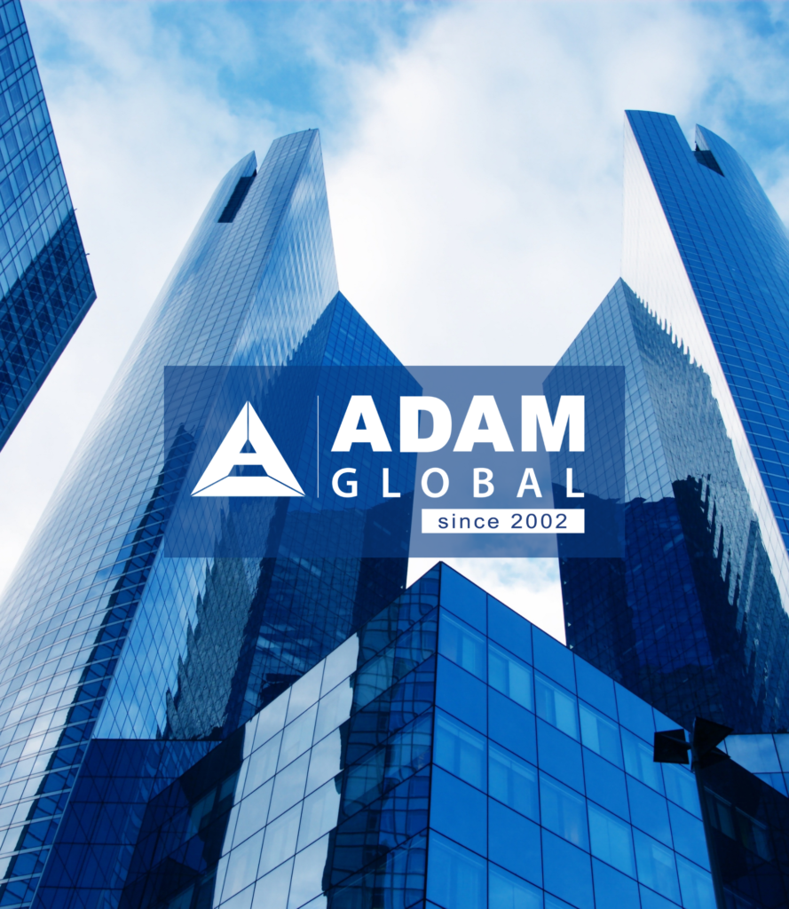Adam Global—Legal and International Structuring